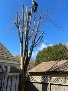 img_9964
